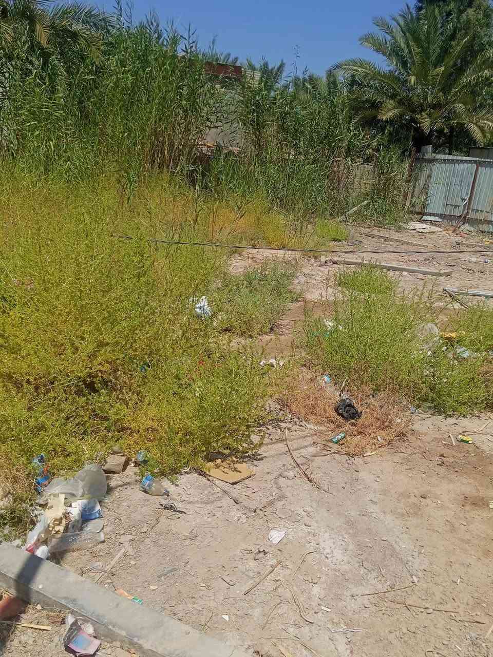 ٢٠٠ سند ٢٥ م طابو زراعي تحويل السعر ١٢ ماليون ترهم نقد وفقد قرب مخازن القمة قرب الجزائر عن المحافظة بابل  ٤كغم والفنون *********** يوجد واتساب
