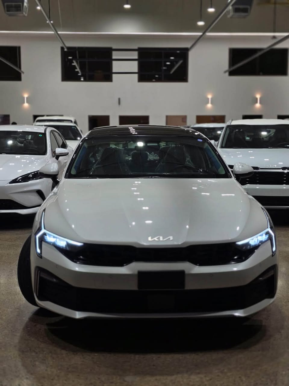 كلشي جديد تلكو يم شركه اريج نينوى 🔥اليوم توفر بصاله عرض اريج نينوى
[kia K5] موديل 2027🏎️
الموصفات 
مكينه حجم 2.5 
بانوراما 
كراسي كهرباء 
داخل مخمل لون بيجي 
شاشه بانوراميه عملاقه 
وضعيات قياده 
ويل حجم ١٧ 
مري شفط 
وهوايه مواصفات بهاي السياره متخلص 
ولاهم من هذا (( سياره خاضعه لضمان المجموعه الدووليه ) 

زورونا موقعنا الكائن 
📍-البياع -الشارع الاول -المميز 

📞-***********
