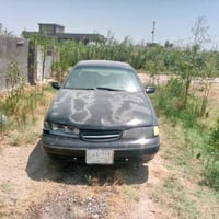 برنس • ٢٥ ورقة • بيه مجال