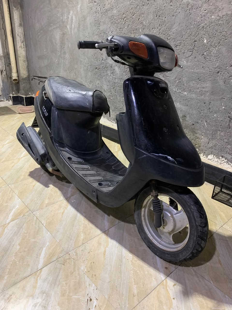 بطه • شغاله • متروكه