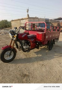 ستوتة • دايون • مكفولة