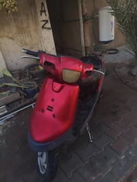 بطة • ٢٠٠٣ • شاصي مكفول