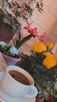 قطعة ارض مساحه 50 متر ابو غريب الشهداء يم مدرسه الخبير بسعر ٢٦ بيها مج...