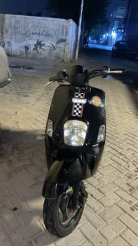 بوليس نوزل • مراوس • سكنس فحل