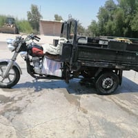 ستوته • موديل ١٤ • اوراق اصولي