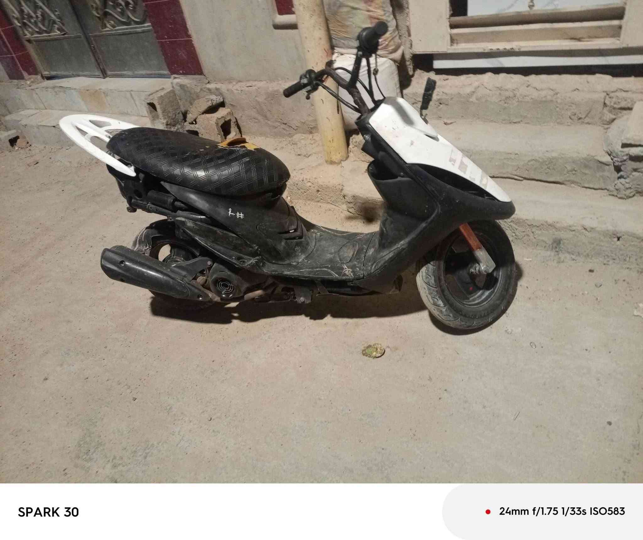 ماكس • شغاله • سلف هندل
