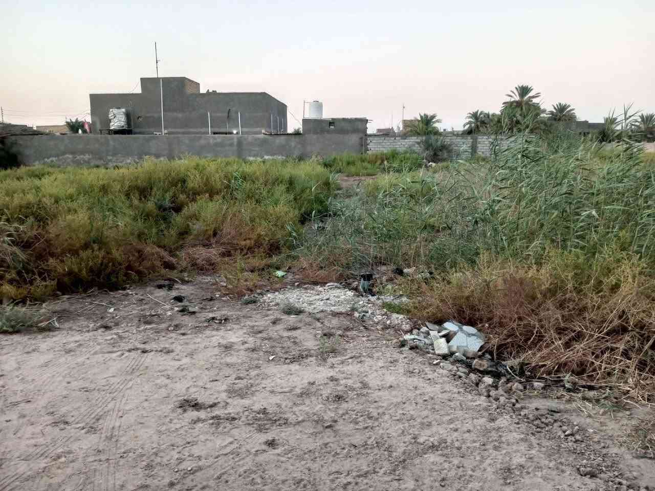 قطعه 250 متر  سيد جابر نزلت ابو راضي ثالث قطعه عن تبليط تصير علة شارعين ركن معاملتهه مال طابو كاملة كافه الخدمات بيهه تشتري منا ثانيوم تطلع طابو سعر 20 //
 ‏‪***********‬‏
