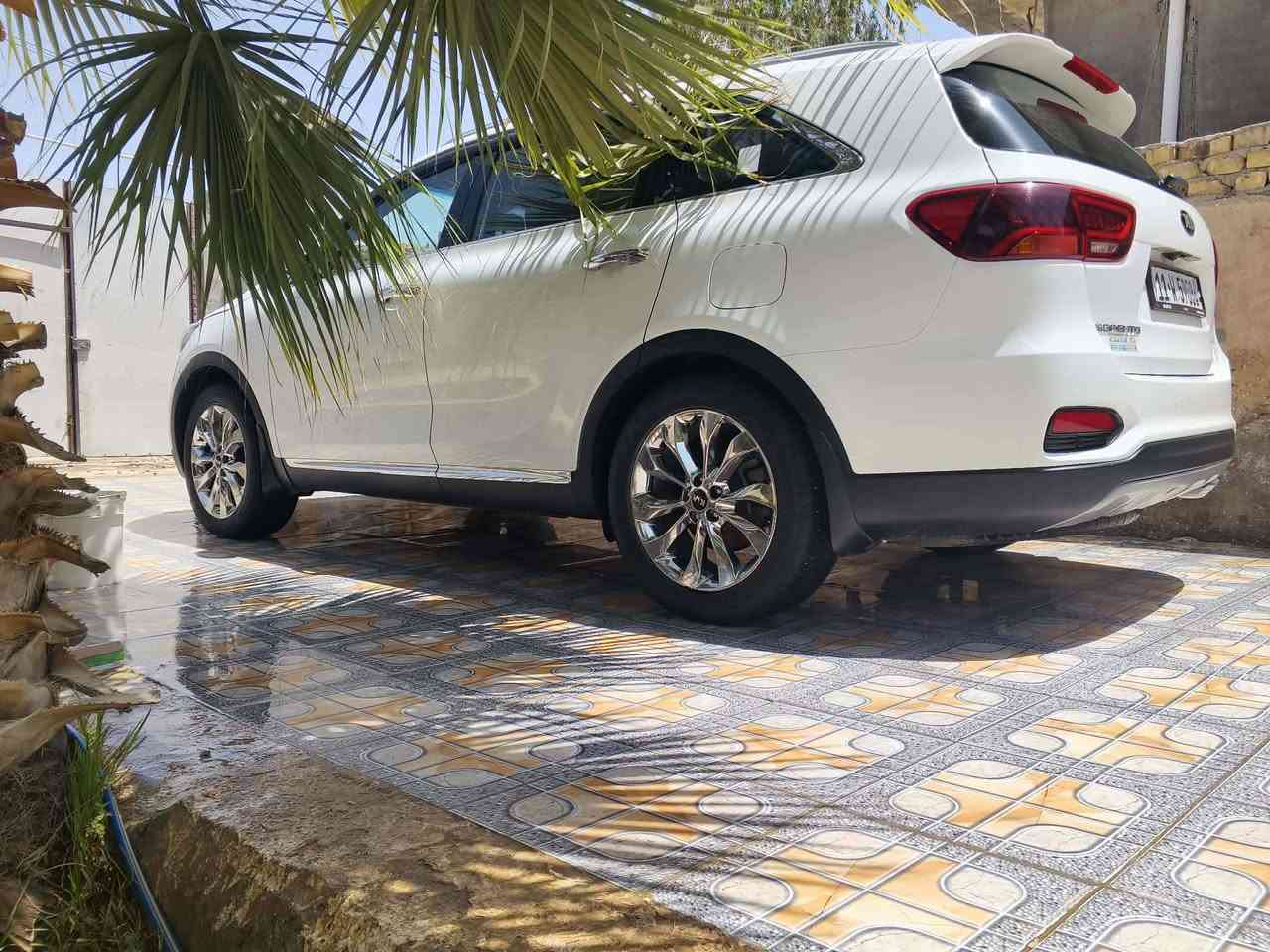 يالله
#سورنتو  خليجي 2019 شكل 20
كفاله من صبغ👍 
سياره مواصفتها  ✅
٦سلندر 
٧راكب ✅
 قيادة ذاتيه مري شفط اشاير بل مري ✅
لايتات بل يده مال باب ✅
ترحيب علامات سورنتو بل باب
جنطه ذكيه برادات خلفي 
كشناتها جلد وكهرباء ✅
سياره كشافات كامره ✅
محرك وكير خير من الله ✅
استخدام شخصي ✅
3قطع تبريد 
سايد بريك برجل✅
بيها بارد بسيط نهاية البنيد

رقمها بغداد انكليزي  سنويا جديدة لل 31
تحويل ثاني يوم سياره بسمي 
سياره جاهزا ونضيفه واحله من صور 
سعرها   مراسله خاص او تصال ❣️
مكاني حله 🌹 
ستفسار اكثر ***********
او مراسله على الخاص
(تعليق مارد عليه (راسل خاص)

