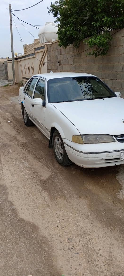 برنس فراشة • ٩٦ • رقم بغداد