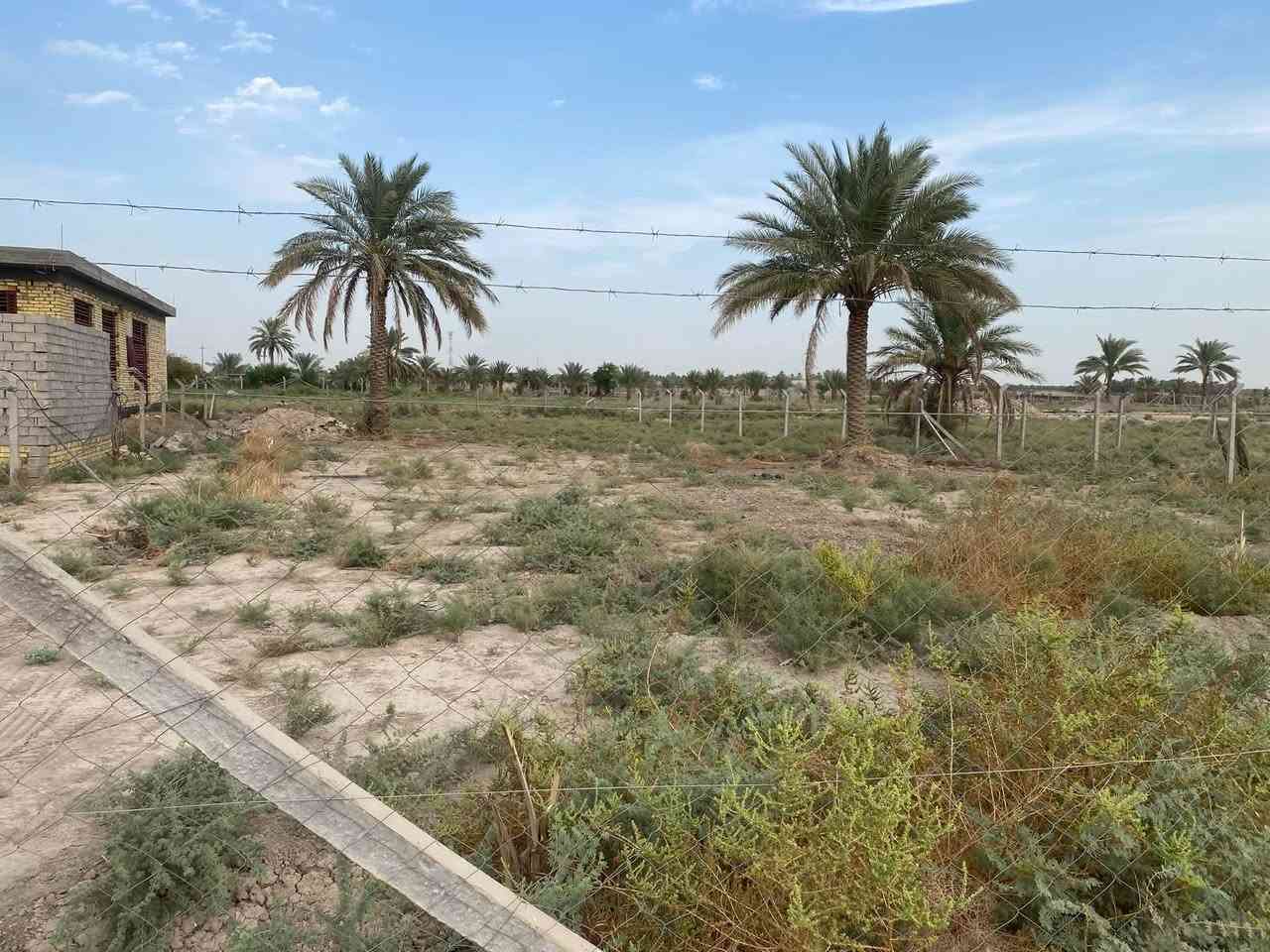 قطعه 1250 متر
تصلح سكن وتصلح مزرعه 
تبعد عن طريق حله نجف  حوالي ٩٠٠ 
متر تبليط  

واجهيه 23.  ونزال ٦٠ 

مسيجه بي ارسي  ومتوفر كافه للخدمات الاستفسار 
***********
