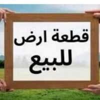طابو زراعي • الرمادي • ٢٢٥م