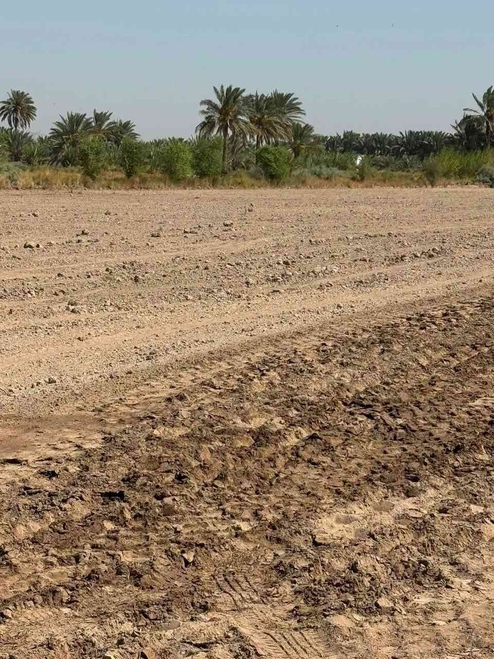 🚨  - اراضي زراعية تقسيم جديد 🚨
يبعد عن جامعة جامعة تقريب 3 كيلو- شارع خدمات - تحويل مباشر

شوف المخط بعينك 👇 التقسيم واضح ونظامي 100%

التفاصيل السريعة:
المساحة : 2.5 دونم 2500م² - اغلب القطع
اكو هم : قطعة 1850م² و قطعة 1150م²
السند : طابو زراعي سند 25
الموقع : 500 متر عن التبليط + يم جامعة بابل
الخدمات : شارع وسطي + ماي + كهرباء دا تنمد
البيع : تحويل مباشر

المميزات:
 1.   واجهات ممتازة وشارع خدمات يفصل القطع
 2.   منطقة مستقبلها ذهب بسبب الجامعة
 3.   تصلح سكن زراعي + مزرعة + استثمار
 4.   الارض محروثة وجاهزة

الاتصال (***********)- واتساب متاح
