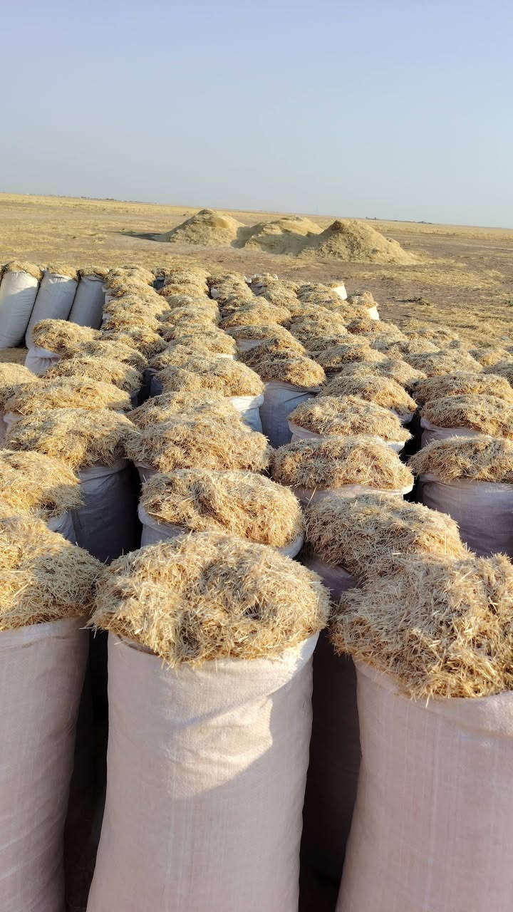 تبن حنطه • جزيره ابيض • جنوب الموصل