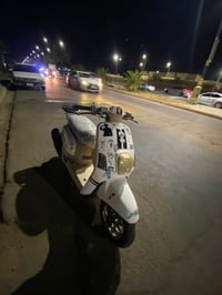 بوليسي • ياباني • فول نضافة