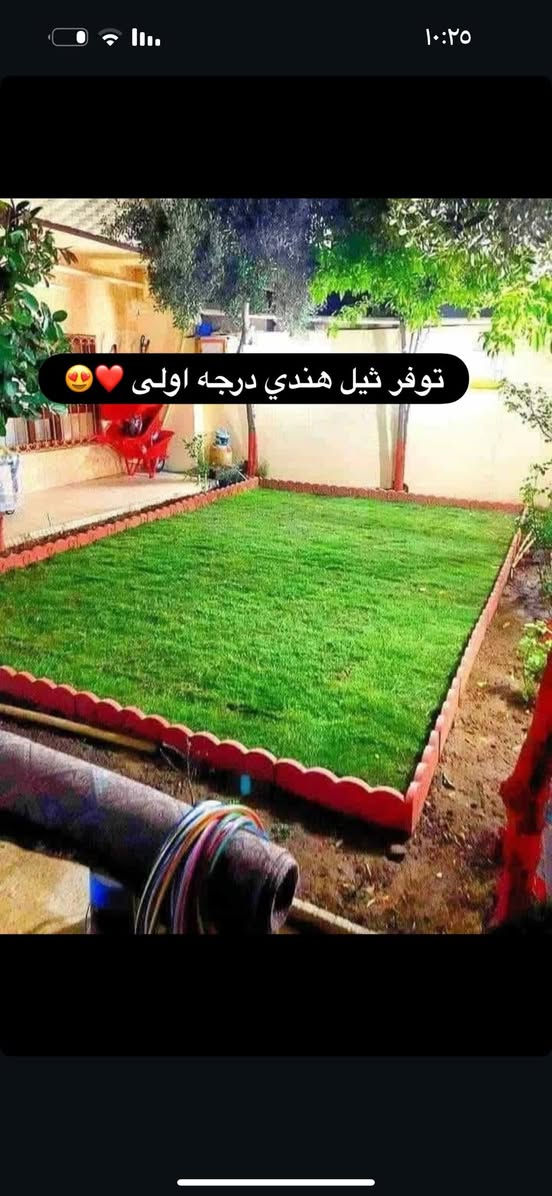 جمعه مباركه ♥️😍
توفر ثيل هندي درجه اولى مال يوم 

ب انسب لاسعار 

***********
