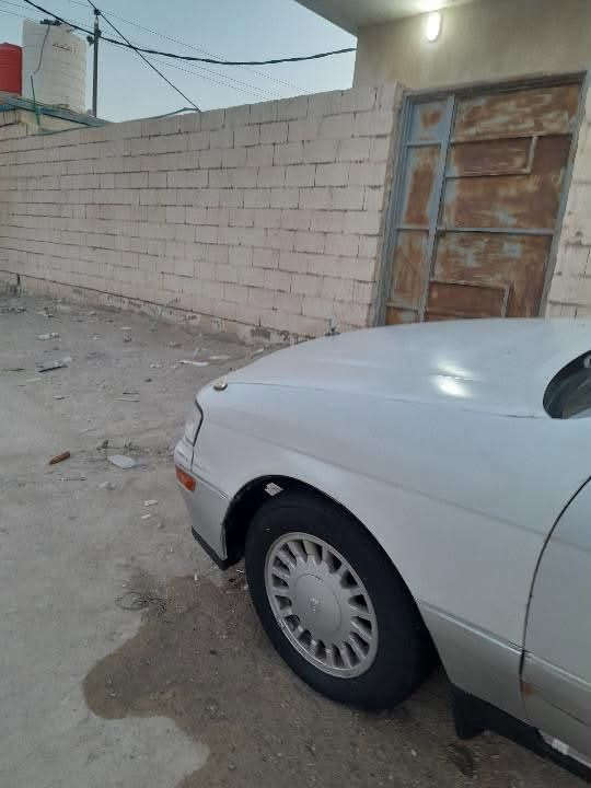 الصبغ جمالي • دواخل نضيف • الزبير