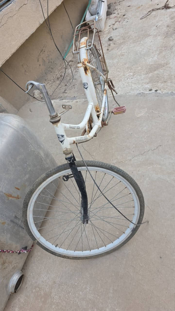 باسكل • نقص زنجيل • نقص سكان