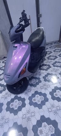 فراشه • فحل • كفاله عامه