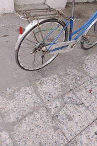 باسكل • فيه مجال