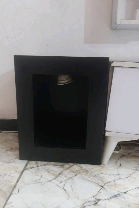 بغداد الزعفرانيه شارع الزهور
