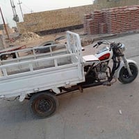 ستوته • دايون • للبيع
