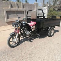 ستوته • ٢٠١٩ • مكفوله