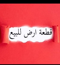 أبو شطيب حي الأمين • ٢٥٠م • قريبة عالشارع