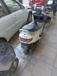 فراشه • شغالة • الديوانيه