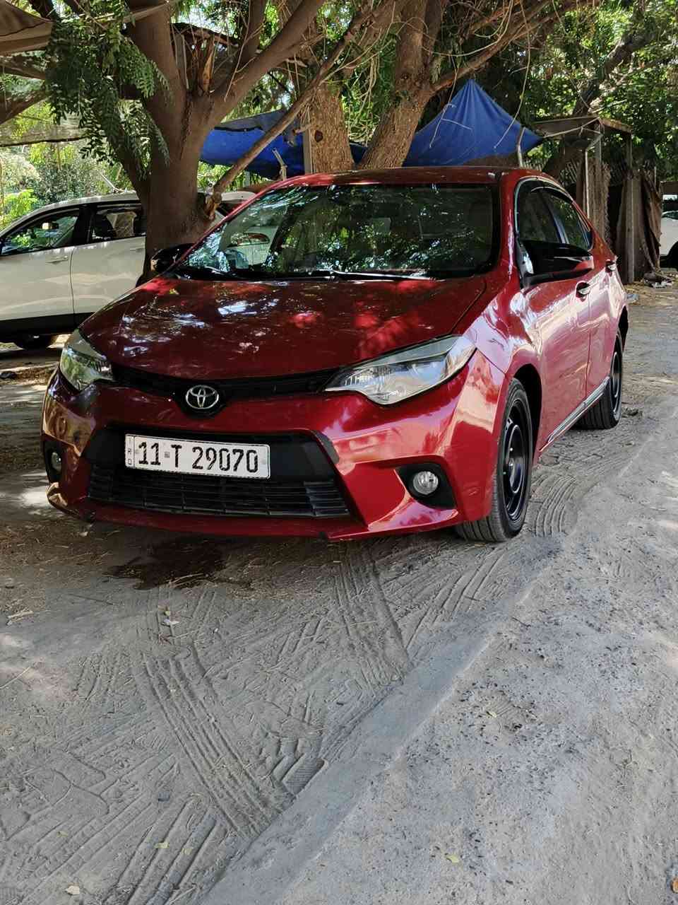 سلام عليكم كورلا 16 البيع سياره جاهزه بيها جاملغات الاماميه صبغ بدون دواخل ولا تبديل محركك 1800 خير من الله ماناقصها شي, ***********. مراوس حسب القناعه سعر 110 قفلها مكاني بغداد قرب علوه الرشيد مراوس بتكسي
