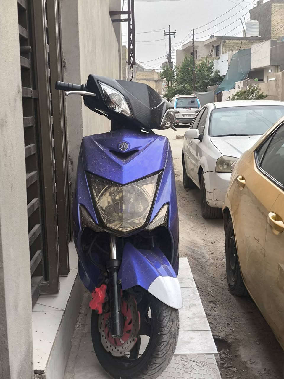 سكنس • خرسه • ناعمه