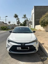 كوريلا 25 هايبرد ماشية 15  السعر 156 المكان بغداد المنصور 07713023571