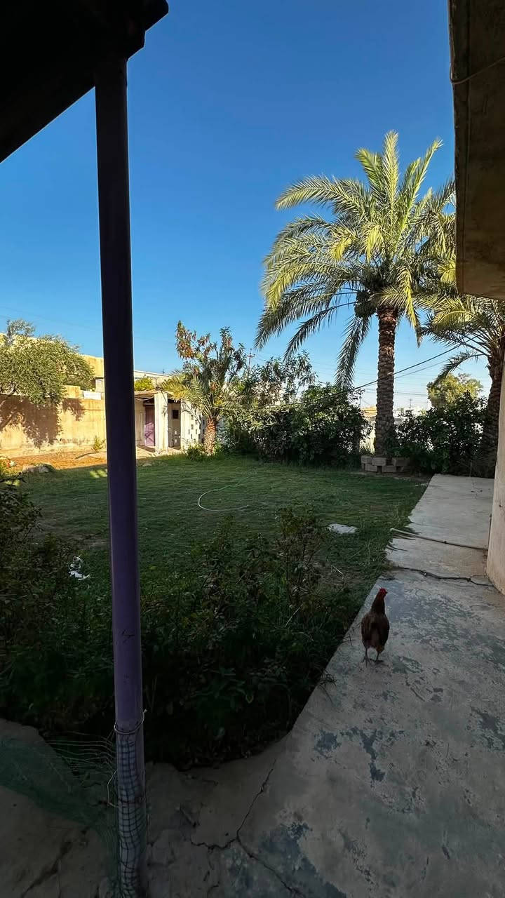 دونم عقد زراعي مع بيت وبستان قرب فلكة الفرسان تبعد عن الشارع العام ٥٠٠ متر
البيت يتكون من 4 غرف نوم 

مطبخ حار بارد 

استقبال وصاله ومجمع 

صحيات داخليه و ٢ خارجيه 

مخزن خارجي + حوض ماء كبير 

المشروع خلف العقار مباشر مسحوب غطاس الى البيت والحوض .

حدايق عدد ٢ 

واصل تبليط الى باب البيت 

السعر 77 م مجال بسيط 

للأتصال *********** 

نقد فقط
