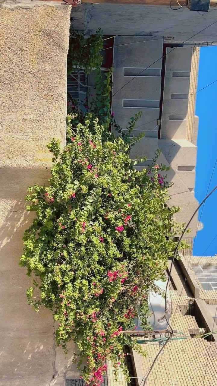 اللهم صل على محمد وال محمد
السلام عليكم

بيت طابو ملك صرف

الكمالية / حي الزهراء / شارع المصرف / قرب ام محمد القابلة بالفرع بصف الركن

عرض الشارع عشرة متر

البيت بأسم شخص واحد

تفاصيل البيت

مسلح طابق ونص

المساحة الكلية ٢٠٢ ونص

الواجهة ٩ متر و  ٢٠ سم النزال ٢٢

الطابق الارضي

كراج + حديقة + مدخل + استقبال + هول + صالة + غرفة + مطبخ + صحيات

الطابق الثاني

غرفتين نوم + صحيات

البيت بي ترك جانبي وخلفي

السطح شتايكر جديد قبل فترة كمل

السعر ٢١٥ وبي مجال 

رقم صاحب العقار

***********
