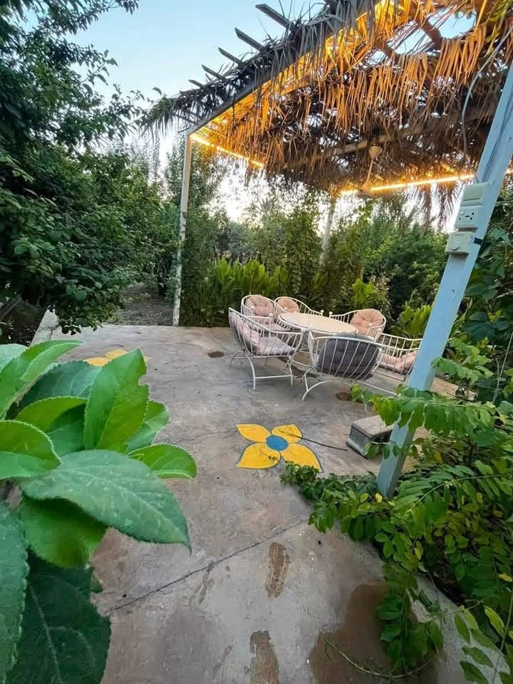 تعالو غيرو جو🩵🏊واشبعو عنب وتمر من مزرعتنا واستمتعو بمنظرهم الجميل والف عافيه🍇😊🪿🍏🍑🍒موقعنا بلد 
للحجز***********
