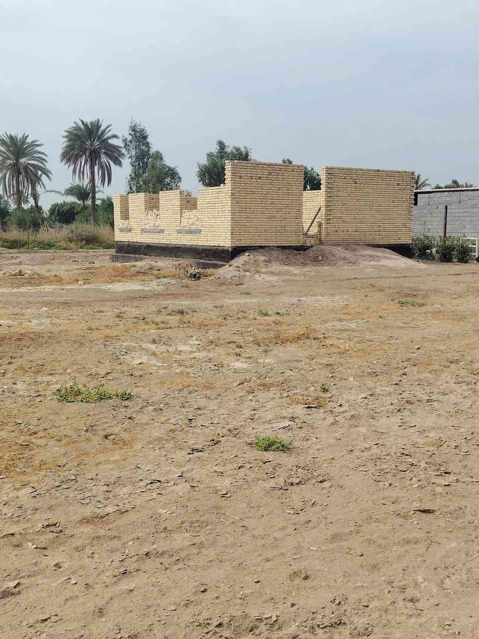 بابل جبله • ٢ دونم • طابو زراعي