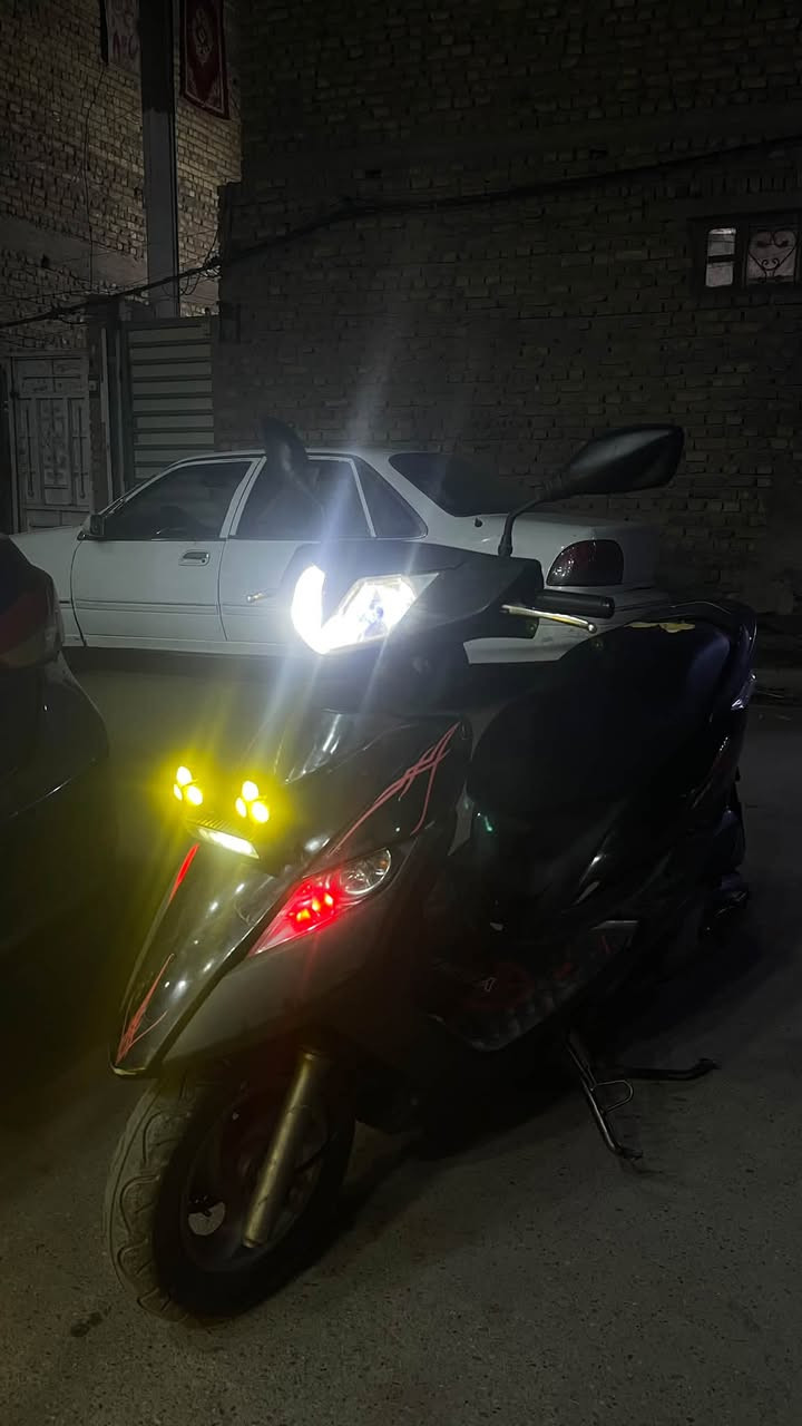 ثعلب • ١٤٠ • نضيف