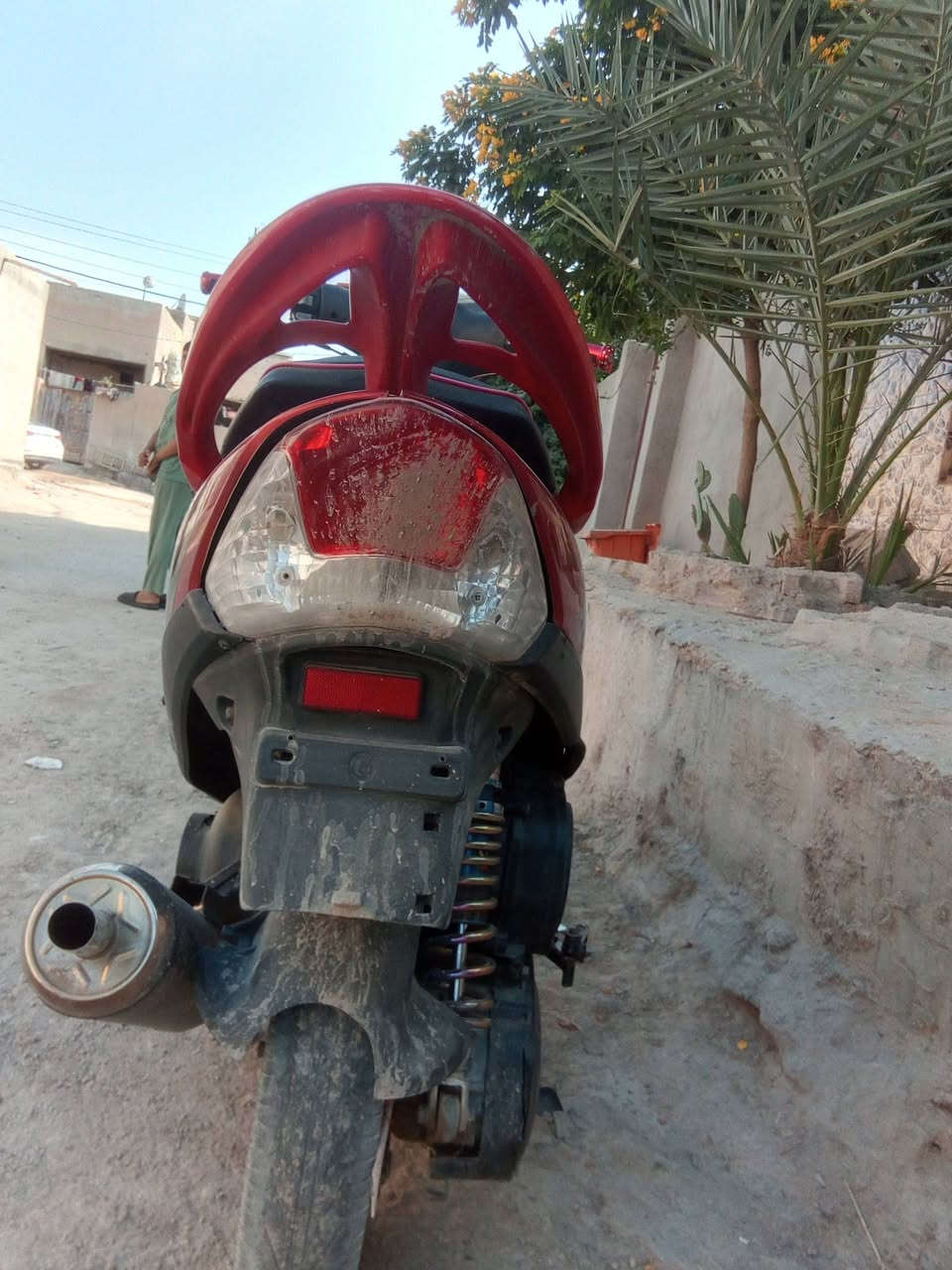ماكس عدلة • مجال قليل • بوشه 55