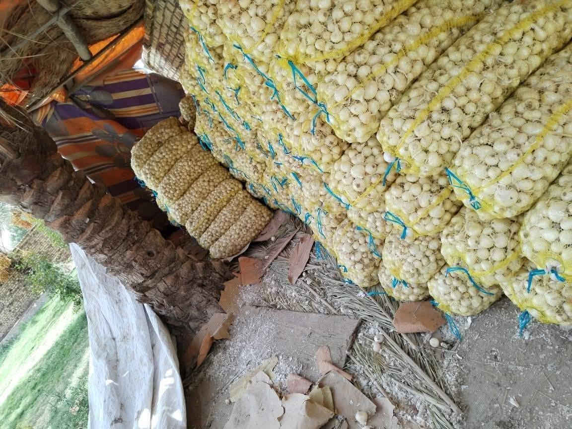 اخر حوية الي ريد يتصل انسب السعارللبيع بصل فسقة حار درجة اولة متعهد المان زيد بن علي محافضت بابل قضاء الكفل للستفسار على الرقم ***********او ***********
