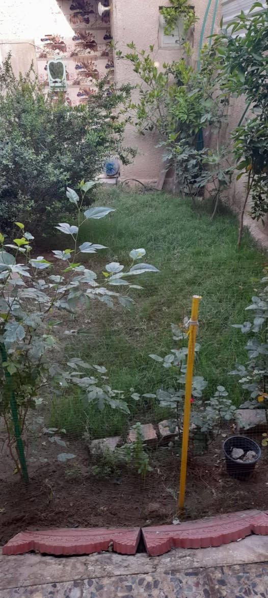 بيت للبيع طابو صرف على طابو الشعب المساحة ٢٠٠ متر طابق ونص بناء رفت مسلح سنة البناء ٢٠١٦ الموقع بوب الشام شارع المشايخي قريب عالسوق مال بوب الشام السعر ١٥٠ مجال قليل طابق ونص كراج وحديقة وغرفتين نوم واستقبال وصالتين وحدة فوك وحدة جوه وصحيات ٣ خارجي وداخلي وفوك ومطبخ وترك حرف L رقمي *********** ابو داود
