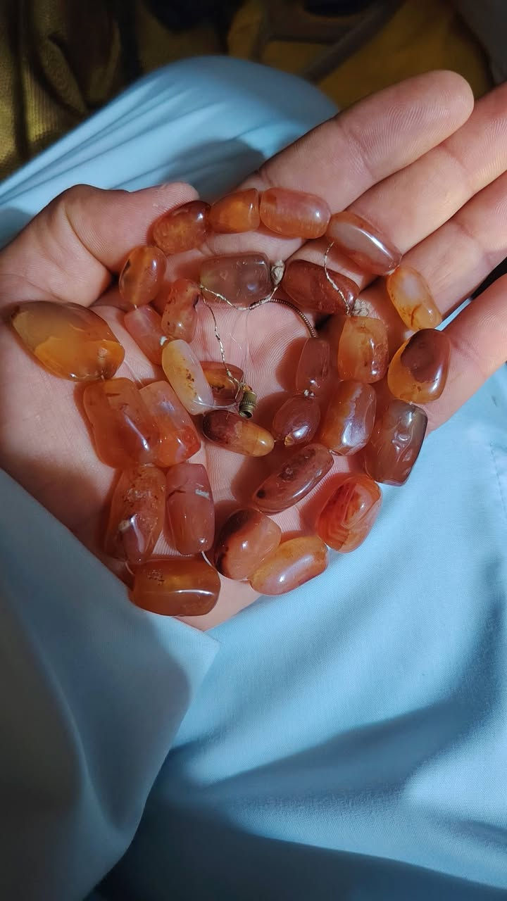 اصلي • شرط