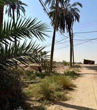زراعي • ١٠م واجهة • طابو ٢٠٢٥