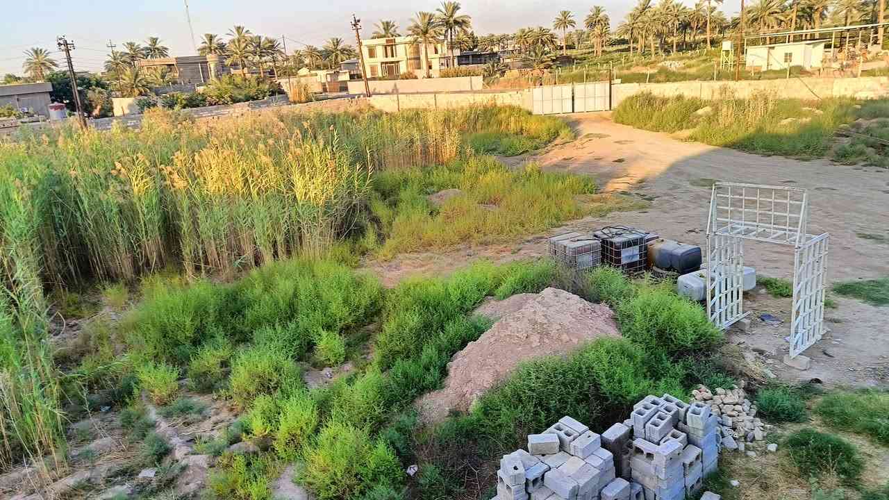 السلام عليكم
            «ارض للبيع» 
المساحة 2 دونم طابو صرف بستان، 
المكان بغداد ابو غريب مدخل زوينات، 
تبعد عن الشارع كيلو متر 1،
للاستفسار اكثر /*********** // ***********.
