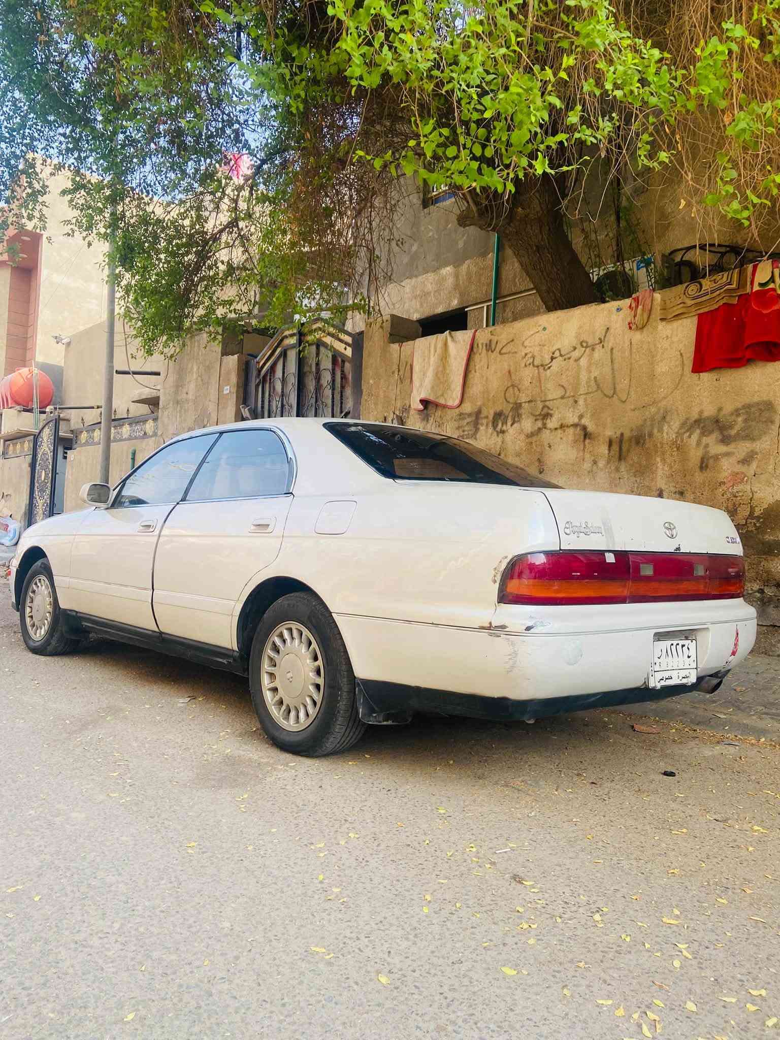 بطه متصل • ١٩٩٤ • البصرة