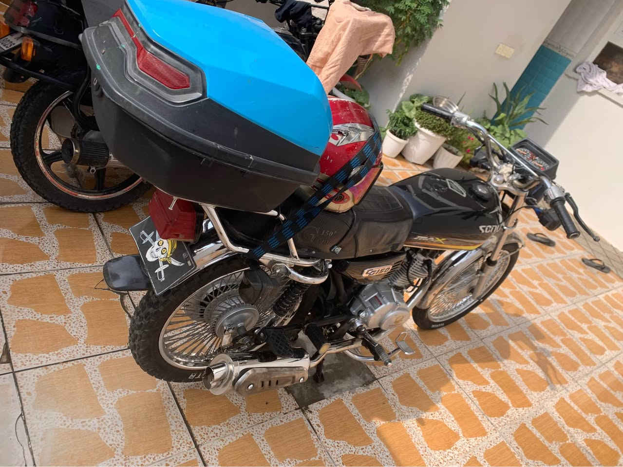 تايگەرمەنەفێست • ٢٠٢٣ • ٤٨٠