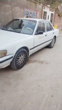كرسيدا • ١٩٨٩ • سنوية