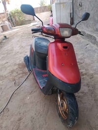 بطة • نضيفه • كفاله