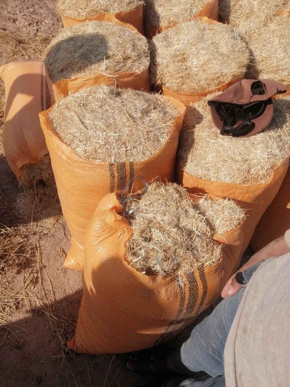 السلام عليكم
يوجد تبن للبيع  حجم الكيس ابو 60الطول 83 السعر 2500مطروح بل مكان ويوجد توصيل للجميع المحافظات
التواصل على الرقم التالي ***********
