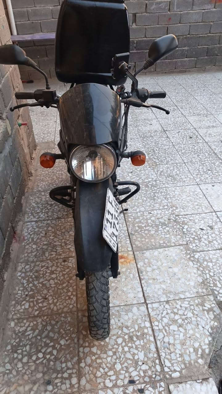بوكسر • جبلي • مديل ٢٠٢٢