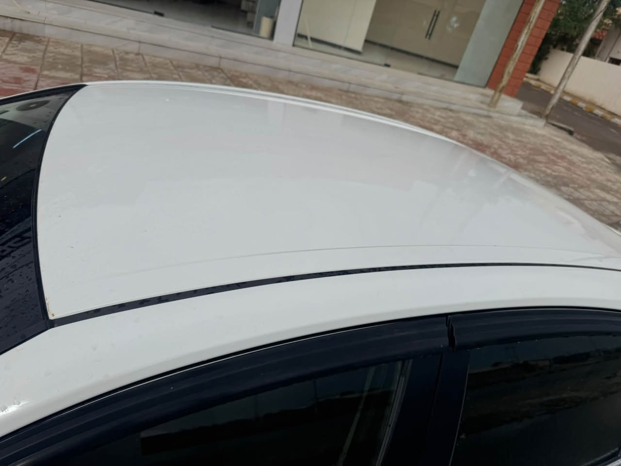 ٢٠١٨ • وارد امريكا • رقم بابل