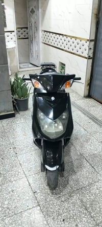 سكنس فحل • ياباني • كهرباء